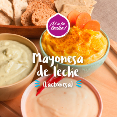 Mayonesa de leche