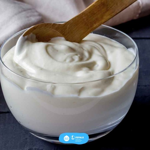 ¿Cuáles son las propiedades curativas del yogurt?
