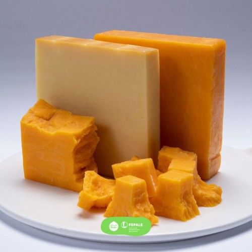 Cómo influyen la leche y el queso en nuestro intestino