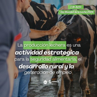 La producción lechera es una actividad estratégica