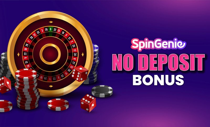 Spingranny code promo à France